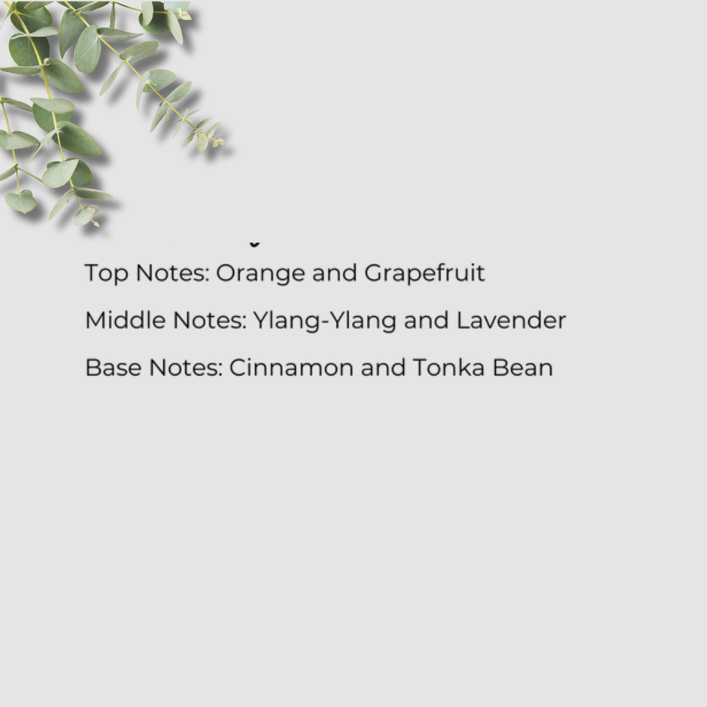 Text detailing top, middle, and base notes of a fragrance on a light gray background with green leaves.