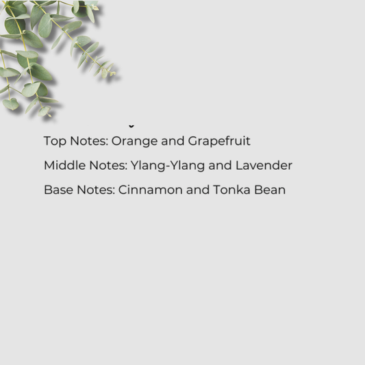 Text detailing top, middle, and base notes of a fragrance on a light gray background with green leaves.